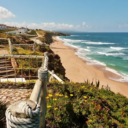 Ana Margarida אריסרייה