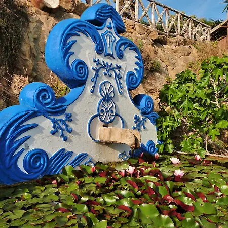 Ana Margarida אריסרייה