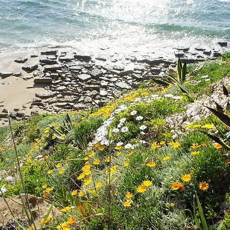 Vakantiehuis Ana Margarida Ericeira
